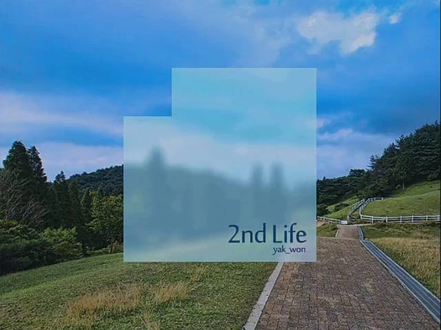 2nd Life Disk Images
