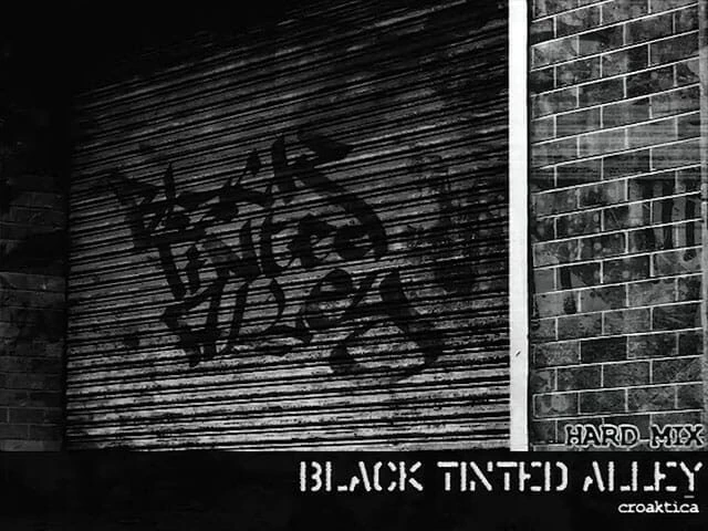 Black Tinted Alley Disk Images