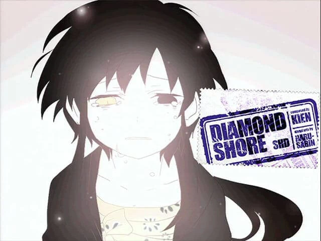 Diamond Shore Disk Images