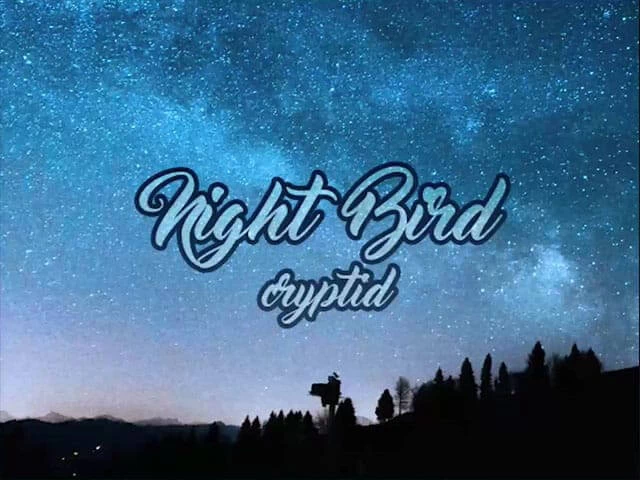 Night Bird Disk Images