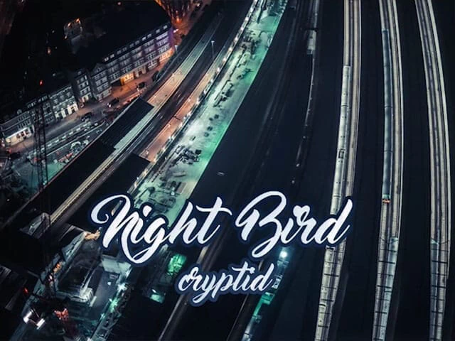 Night Bird Disk Images