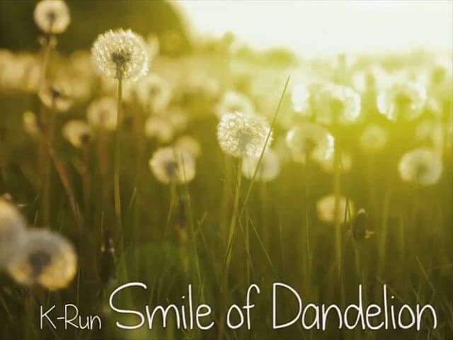 Smile of Dandelion Disk Images