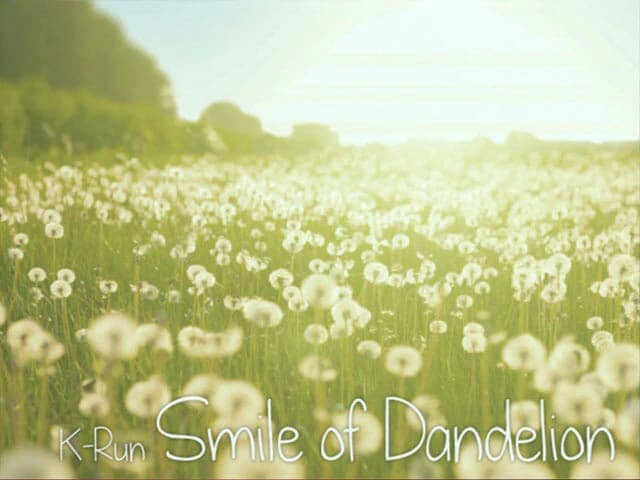 Smile of Dandelion Disk Images