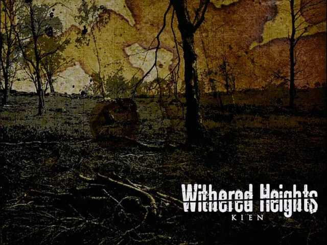Withered Heights Disk Images